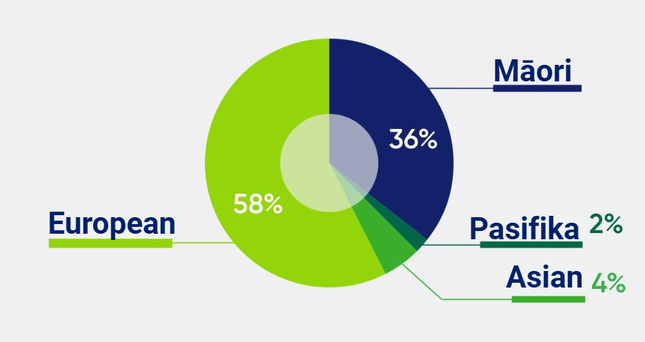 Whangarei Piechart