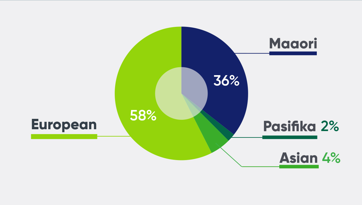 Whangarei Piechart