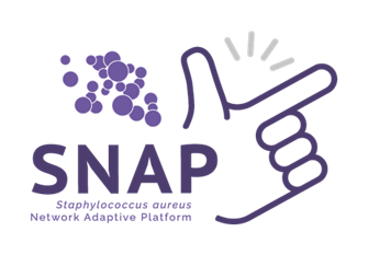 Global clinical trial reveals safest, most effective antibiotics for <i>Staphylococcus aureus</i> bloodstream infections Global clinical trial reveals safest, most effective antibiotics for <i>Staphylococcus aureus</i> bloodstream infections